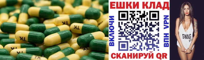Экстази бентли дарнет шоп Звенигород
