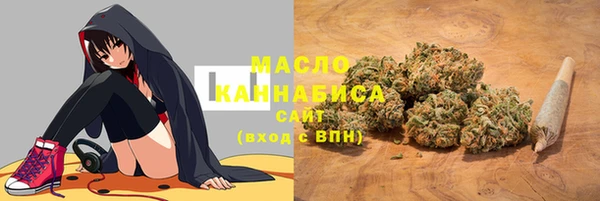 прущий лед Гусев
