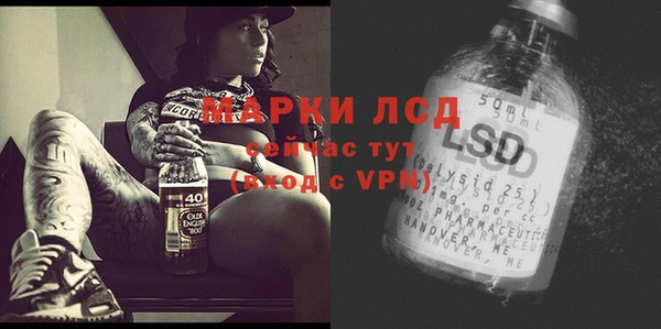 шишки Алексин