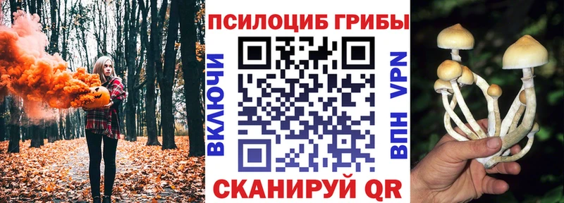 kraken сайт  Звенигород  даркнет телеграм  Псилоцибиновые грибы прущие грибы 