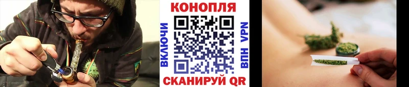 купить наркотики сайты  Звенигород  MEGA   Каннабис тримм 